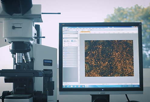 Metallographic Microscopy